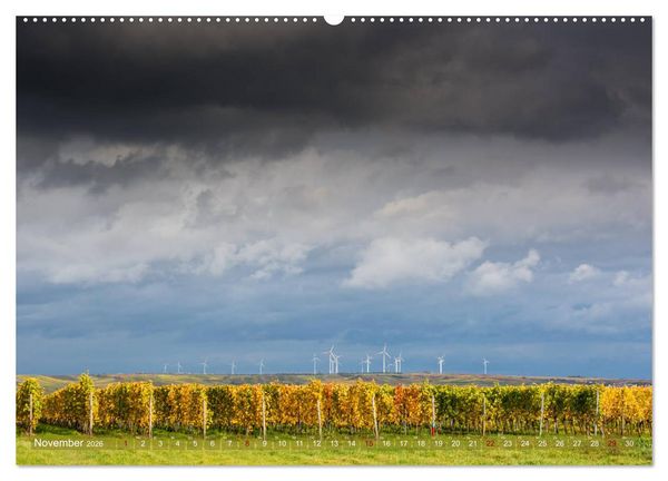 Produktbild: Wein - Landschaften (hochwertiger Premium Wandkalender 2026 DIN A2 quer), Kunstdruck in Hochglanz