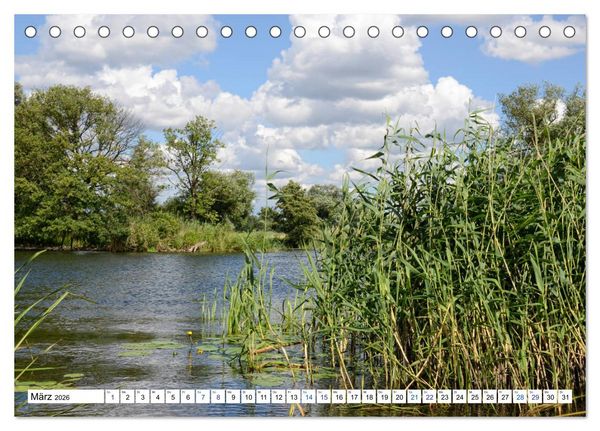 Produktbild: Ein Sommer im Havelland - Spaziergang entlang am Havelradweg (Tischkalender 2026 DIN A5 quer), CALVENDO Monatskalender