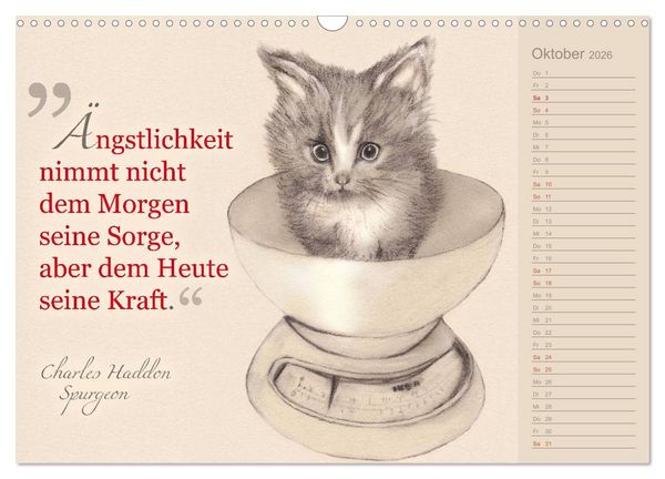 Produktbild: Von Katzen lernen (Wandkalender 2026 DIN A3 quer), CALVENDO Monatskalender
