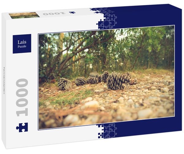 Produktbild: Lais Puzzle Tannenzapfen 1000 Teile