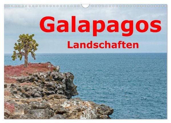 Produktbild: Galapagos- Landschaften (Wandkalender 2026 DIN A3 quer), CALVENDO Monatskalender