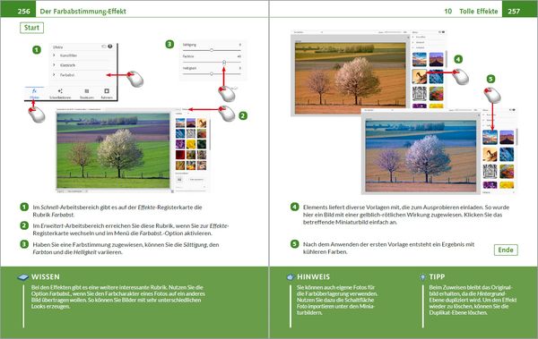 Produktbild: Photoshop Elements 2025 - Bild f&uuml;r Bild erkl&auml;rt