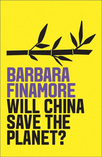 Produktbild: Will China Save the Planet?