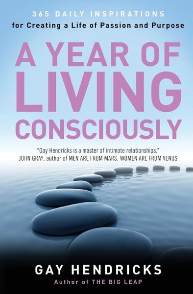 Produktbild: A Year of Living Consciously