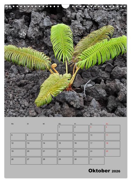 Produktbild: Hawaii - Land of Aloha (Wandkalender 2026 DIN A3 hoch), CALVENDO Monatskalender