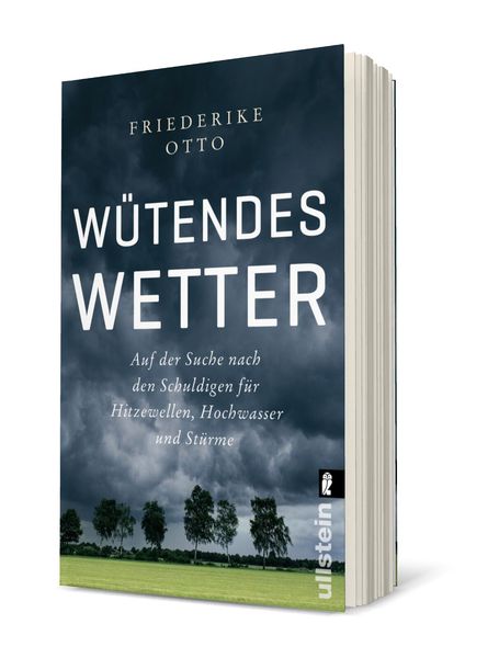 Produktbild: Wütendes Wetter