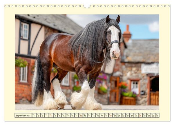 Produktbild: Shire Horse Zauber. Englands elegante Riesen (Wandkalender 2027 DIN A3 quer), CALVENDO Monatskalender
