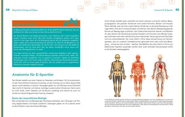 Produktbild: E-Sport-Fitness