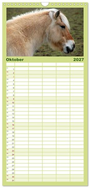 Produktbild: Familienplaner 2027 - Ponys. Herzensbrecher mit Grips mit 5 Spalten (Wandkalender, 21 x 45 cm) CALVENDO