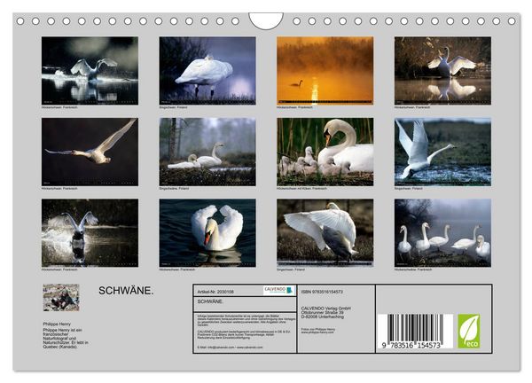 Produktbild: SCHW&Auml;NE. (Wandkalender 2026 DIN A4 quer), CALVENDO Monatskalender