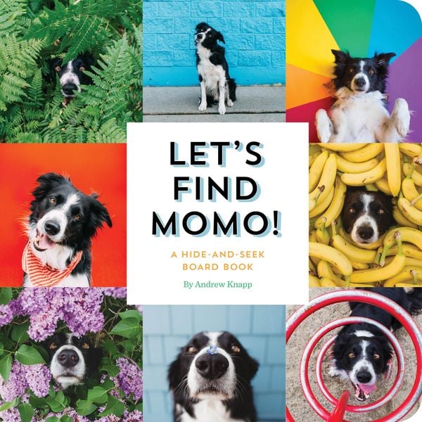 Produktbild: Let's Find Momo!