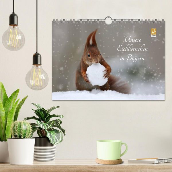 Produktbild: Unsere Eichh&ouml;rnchen in Bayern (Wandkalender 2026 DIN A4 quer), CALVENDO Monatskalender