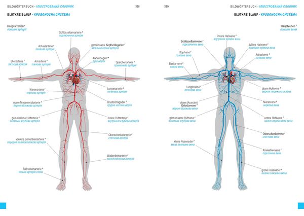 Produktbild: W&ouml;rterbuch Medizin Deutsch-Ukrainisch, Ukrainisch-Deutsch mit zweisprachigen Anatomietafeln