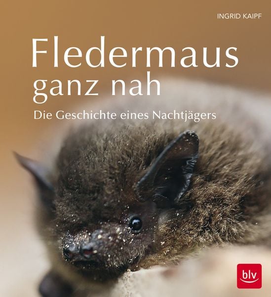 Fledermaus ganz nah, Gebundene Ausgabe von Ingrid Kaipf, BLV, 978-3-8354-1903-2