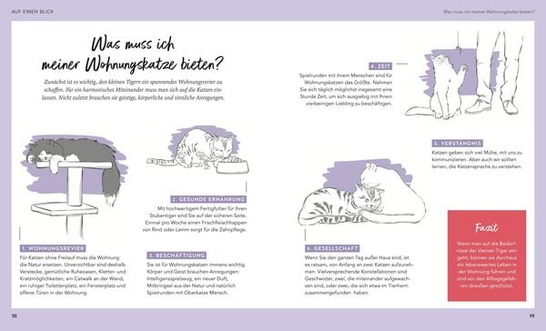 Produktbild: Wohnungskatzen