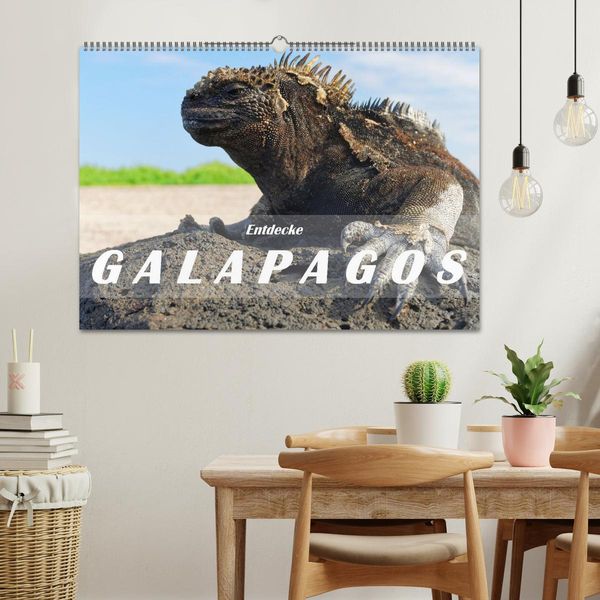 Produktbild: Entdecke Galapagos (Wandkalender 2026 DIN A2 quer), CALVENDO Monatskalender
