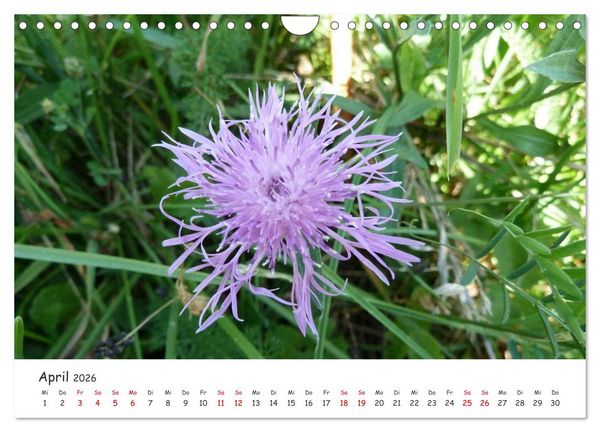 Produktbild: &Uuml;ber die Alpen - Auf dem E5 von Oberstdorf nach Meran (Wandkalender 2026 DIN A4 quer), CALVENDO Monatskalender