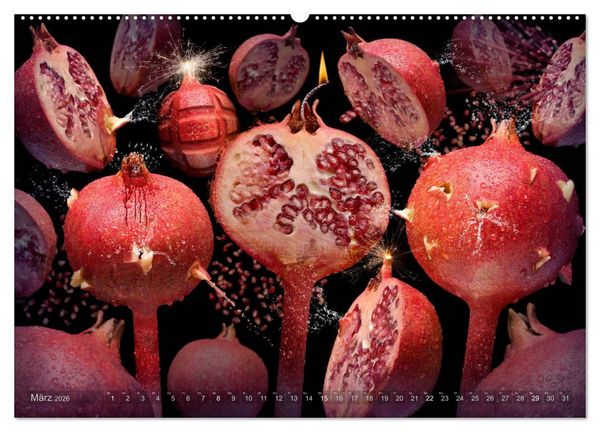 Produktbild: Flora miracula - Die wundersame Welt des Fotografen Olaf Bruhn (hochwertiger Premium Wandkalender 2026 DIN A2 quer), Kunstdruck in Hochglanz