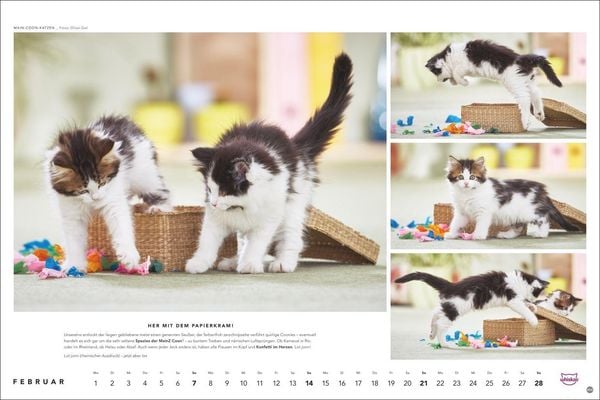 Produktbild: Whiskas Katzenkalender 2027