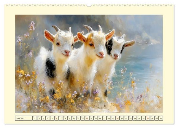 Produktbild: Zwergziegen. Kleine Wirbelwinde im Sonnenschein (hochwertiger Premium Wandkalender 2027 DIN A2 quer), Kunstdruck in Hochglanz