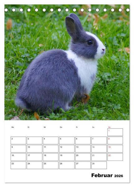 Produktbild: Kaninchen Terminplaner (Tischkalender 2026 DIN A5 hoch), CALVENDO Monatskalender