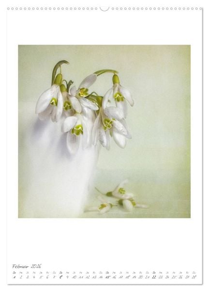 Produktbild: Flower Dreams (hochwertiger Premium Wandkalender 2026 DIN A2 hoch), Kunstdruck in Hochglanz