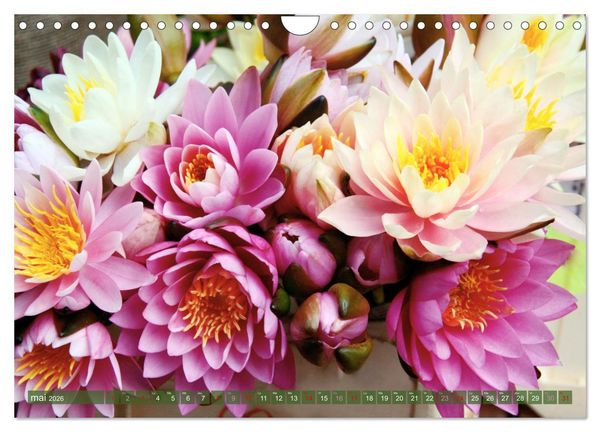 Produktbild: Magnifiques n&eacute;nuphars (Calendrier mural 2026 DIN A4 vertical), CALVENDO calendrier mensuel