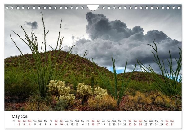 Produktbild: America&rsquo;s Most Beautiful Sceneries (Wall Calendar 2026 DIN A4 landscape), CALVENDO 12 Month Wall Calendar