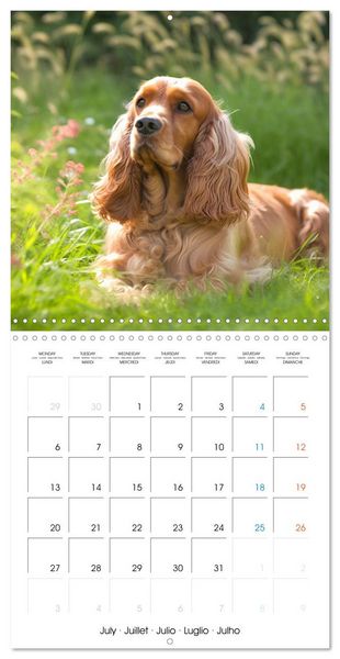 Produktbild: Portraits de petits chiens (Calendrier mural carr&eacute; 2026 30x30 cm) Calendrier double avec une page pour vos prises de notes