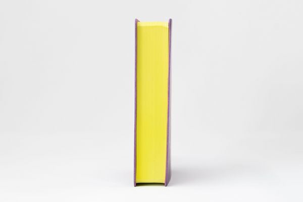 Produktbild: Die Bibel. Senfkorn, Handschmeichler lila