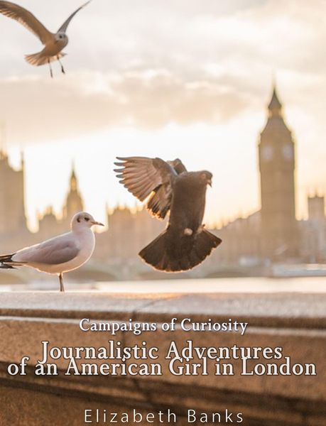 Produktbild: Campaigns of Curiosity