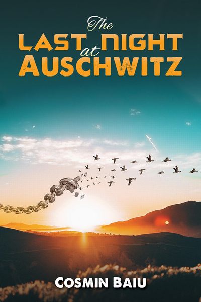 Produktbild: Last Night at Auschwitz