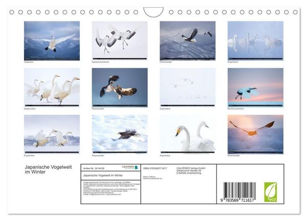 Produktbild: Japanische Vogelwelt im Winter (Wandkalender 2027 DIN A4 quer), CALVENDO Monatskalender