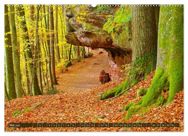 Produktbild: Der Altschlossfelsen - Gr&ouml;&szlig;te Felsformation der Pfalz im herbstlichen Farbspiel (hochwertiger Premium Wandkalender 2026 DIN A2 quer), Kunstdruck in Hochglanz