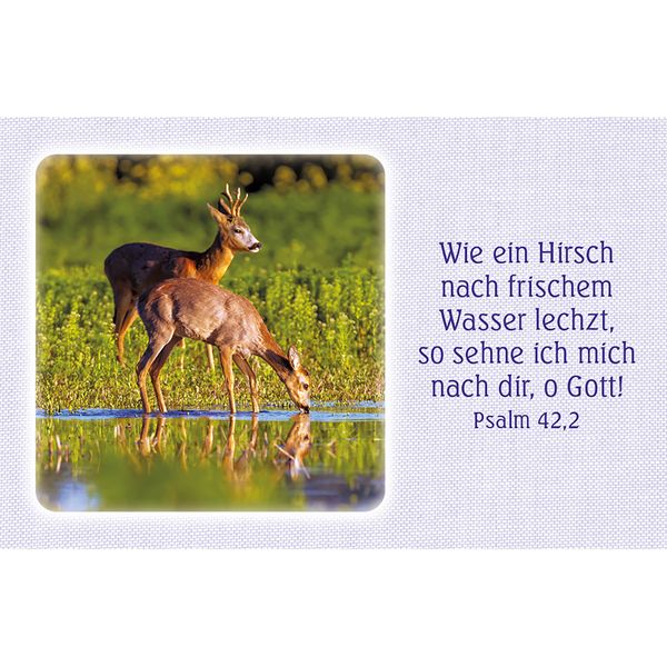 Produktbild: 62 Psalm-Gebete