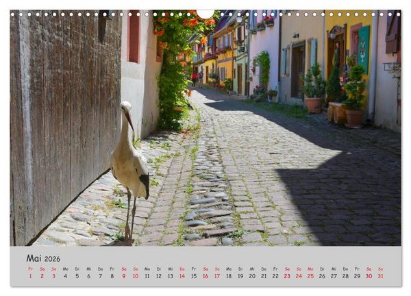 Produktbild: Region Elsass und Vogesen (Wandkalender 2026 DIN A3 quer), CALVENDO Monatskalender