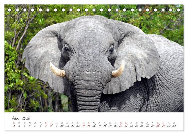 Produktbild: Namibia - Magie der Weite (Tischkalender 2026 DIN A5 quer), CALVENDO Monatskalender