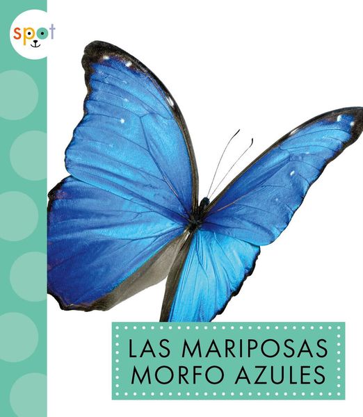Produktbild: Las Mariposas Morfo Azules