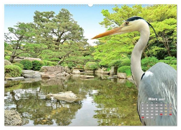 Produktbild: Japan: Entdecken Sie gelebte Tradition und einzigartige Naturwunder (hochwertiger Premium Wandkalender 2027 DIN A2 quer), Kunstdruck in Hochglanz