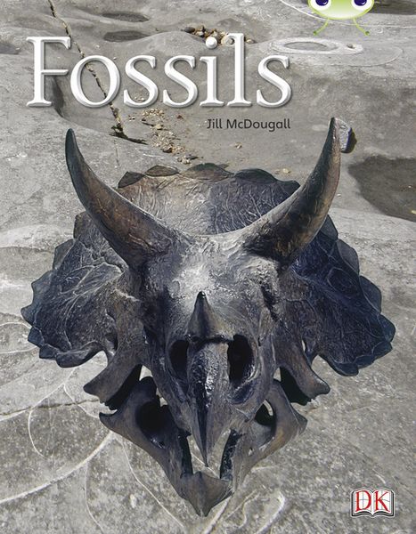 Produktbild: Bug Club Non-fiction Gold A/2B Fossils 6-pack