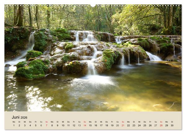 Produktbild: Der Wald. Durch zauberhafte Waldlandschaften (Wandkalender 2026 DIN A2 quer), CALVENDO Monatskalender