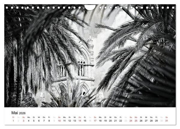Produktbild: Silberstein portr&auml;tiert Palermo (Wandkalender 2026 DIN A4 quer), CALVENDO Monatskalender