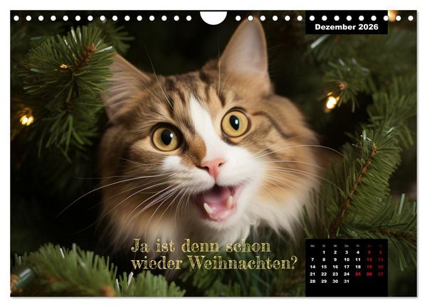 Produktbild: Katzen k&ouml;nnen alles, au&szlig;er traurig. (Wandkalender 2026 DIN A4 quer), CALVENDO Monatskalender