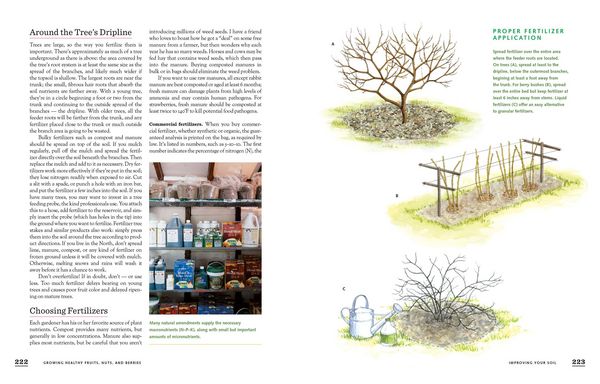 Produktbild: The Fruit Gardener's Bible