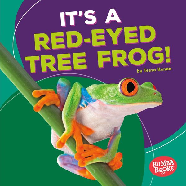 Produktbild: It's a Red-Eyed Tree Frog!