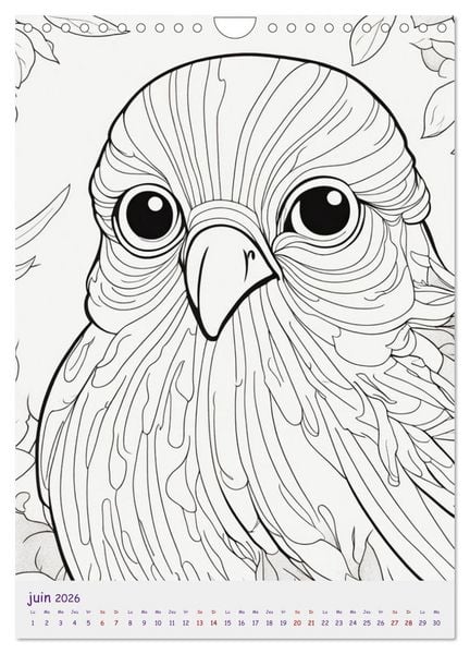Produktbild: Calendrier &agrave; colorier (Calendrier mural 2026 DIN A4 horizontal), CALVENDO calendrier mensuel