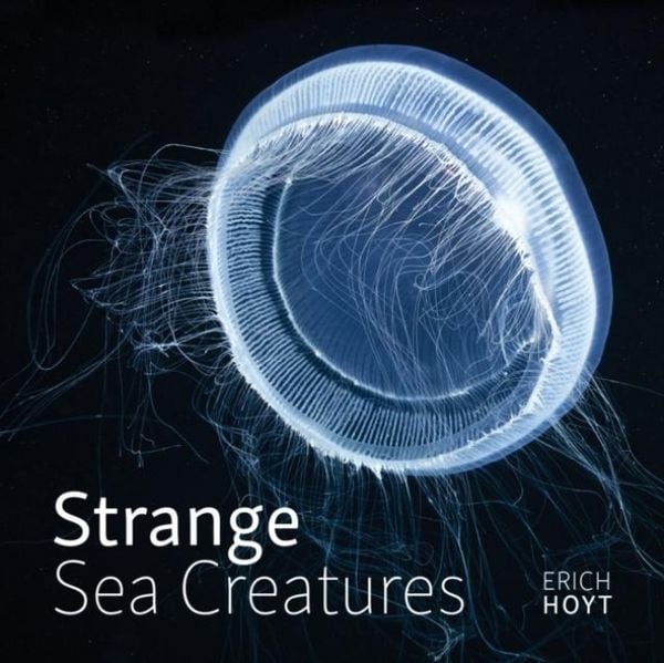 Produktbild: Strange Sea Creatures