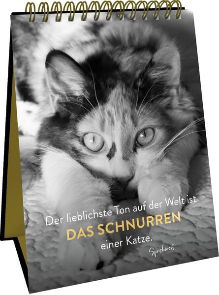 Produktbild: Goldene Katzenweisheiten