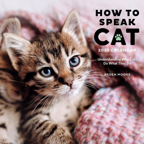 Produktbild: How to Speak Cat Wall Calendar 2025