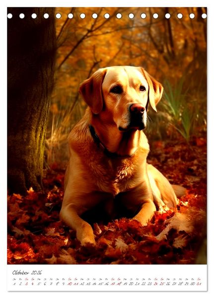 Produktbild: Der Labrador (Tischkalender 2026 DIN A5 hoch), CALVENDO Monatskalender